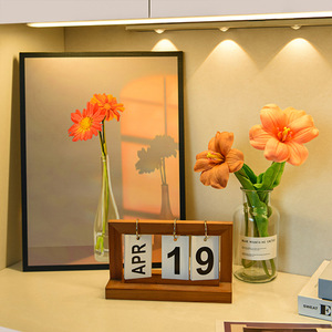 Artículos Decorativos y Cuadros con Temática de Plantas, Ligeros, Artísticos y de Nicho, que Evocan Luz y Sombra - Product Image 4