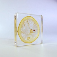 Echte Plant Specimen Blok Kristalhars Transparant Hars Decoratie Ontwerp Droog Fruit Plakjes Specimen
