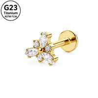 Set Perhiasan Tindik Titanium ASTM F136 Berbagai Macam CZ Flat Back Labret Stud Earrings Bentuk Daun Kucing, Hati, Bunga untuk Cartilage, Helix, Tragus