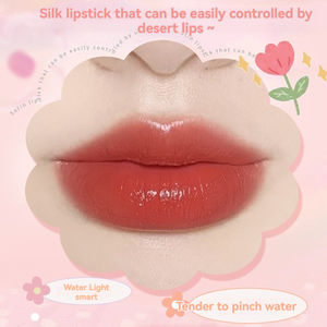 Lápiz labial es luz brillante y luz Otoño e invierno Vintage Terra Cotta rojo marrón lápiz labial hidratante - Product Image 2