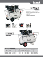 Compresseur d'air industriel à moteur essence Luowei 4KW 10bar 100L certifié CE 573L/min