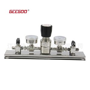 Colector de Gas de Acero Inoxidable para Laboratorio con Regulador de Presión, Terminal para Argón y CO2, Estructura de Medidor de Flujo, Válvula Reductora - Product Image 3