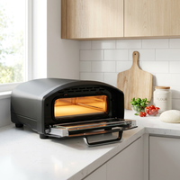 Four à pizza électrique manuel NL en acier inoxydable avec contrôle numérique de la température, classe d'efficacité énergétique pour usage domestique et commercial