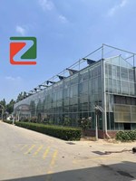 Serre à grande échelle de marque Zhuotai avec structure en fibre de verre et bâche en film pour l'agriculture intelligente, culture de tomates et de piments, origine Chine