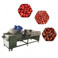 Dadels Wasmachine Jujube Borstelroller Wasmachine Jujube Palm Stomerij Polijstmachine