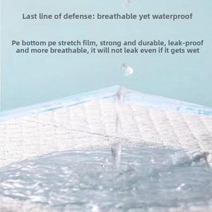 Ventes en gros de coussinets absorbants pour chiens, sur mesure, épais, pour l'entraînement des animaux de compagnie, livraison directe disponible - Product Image 4