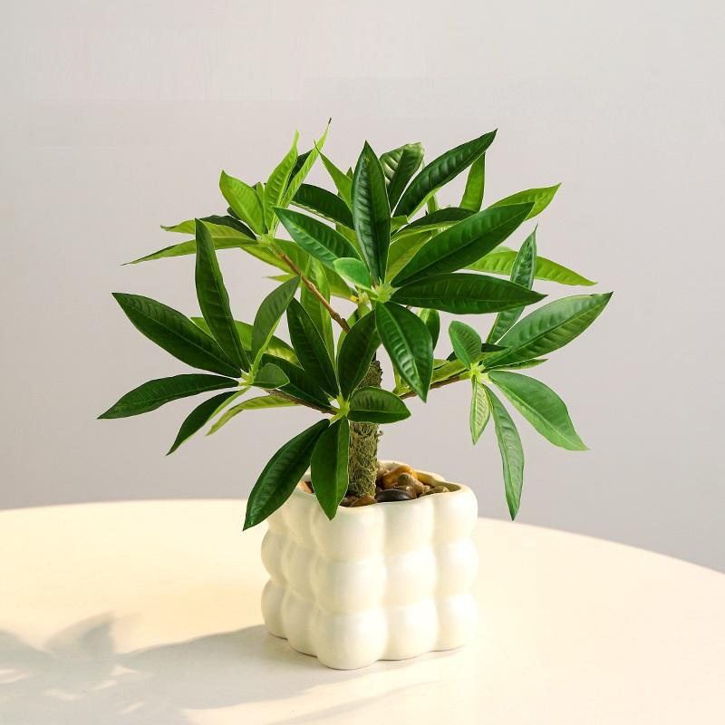 #2 green  (fortune tree)