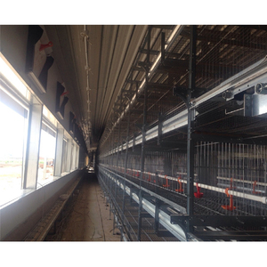 Trang Trại Gà Xây Dựng Giá Rẻ Kim Loại Gà Thịt Coops Nhà - Product Image 3
