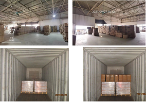 Semoir manuel <span class=keywords><strong>pour</strong></span> maïs avec Double seau/applicateur d'enduit, Machine à coudre, graines de blé - Product Image 6