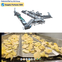 Hoogproductief systeem voor de productie van aardappelchips voor industriële snackfabrieken met geautomatiseerd invoeren, frituren en smaakgeven