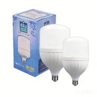 Ampoule LED Ronde B22 5W-60W à Vente Directe Usine, Lampe Résidentielle AC Culot E27, Blanc Froid 6500K, Plastique, Certifiée Energy Star, IRC 80