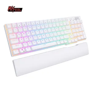 Royal Kludge Rk 96 Keys Clavier Gamer Wired Hotswap Computer Round Custom  Wireless Gaming RGB Mechanical Rk96 Keyboard - China Gaming and Royal  Kludge price