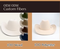 Topi Fedora Unisex dari Wol Australia Berkualitas Tinggi untuk Cowgirl dan Cowboy, Grosir Musim Dingin, Beli dalam Jumlah Besar, Logo Kustom untuk Pria, Perjalanan, dan Pesta