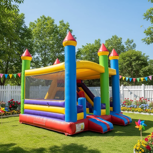 Château Gonflable Commercial à Vendre : Toboggan et Structure de Saut pour Enfants – Idéal pour Fêtes et Jardins - Product Image 1