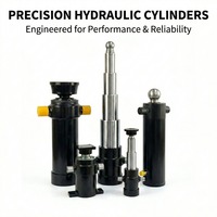 Fabricant de pièces hydrauliques professionnelles Liujin avec 20 ans d'expérience dans la production de vérins hydrauliques