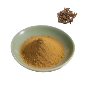 天然スパイスキャラウェイシードパウダーCarum Carviキャラウェイシードエキス - Product Image 1