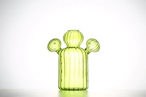 <span class=keywords><strong>Vaso</strong></span> Creativo <span class=keywords><strong>in</strong></span> Vetro Trasparente per Piante Idroponiche <span class=keywords><strong>di</strong></span> <span class=keywords><strong>Cactus</strong></span>, Ornamento Semplice Personalizzato - Product Image 6