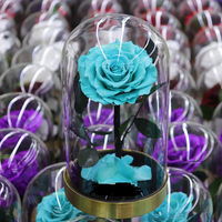 Valentinstag Muttertag Weihnachtsgeschenke Ewige Konservierte Rosen Metallbasis Glaskuppel Heimdekoration LED Langlebig 3-5 Jahre