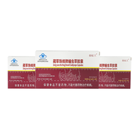 Capsules d'extrait de Cordyceps en gros pour le maintien immunitaire quotidien - 0,4 g par capsule, 3 fois par jour
