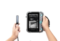 Sonar vétérinaire à ultrasons à main pour animaux Instrument à ultrasons pour petits animaux pour la surveillance des chèvres et des moutons