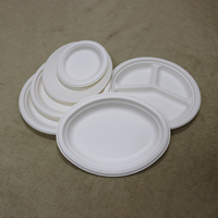 Échantillons gratuits 6 7 8 9 10 12.5 pouces compartiment canne à sucre assiettes en papier biodégradables plat jetable pour la fête d'anniversaire