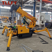 Prix direct usine TLLFY Mini-grue araignée à bras télescopique 2 tonnes, rotation 360°, double moteur, hauteur de levage <10m