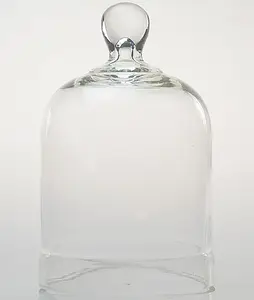 Kích thước khác nhau giá rẻ rõ ràng Glass Bell Jar với Knob Top