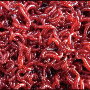 Blusões congelados 35 cubos bolhas - Product Image 4