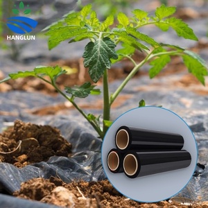 Película Agrícola de Polietileno Plateada y Negra 2026 de Gran Venta, Manta de Plástico <span class=keywords><strong>para</strong></span> Cobertura de Suelos en Invernaderos y Control de Malezas - Product Image 4