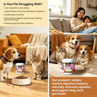 Complément alimentaire pour animaux - Comprimés probiotiques pour chiens et chats - OEM/ODM - Digestion et santé intestinale - Équilibre des bactéries intestinales