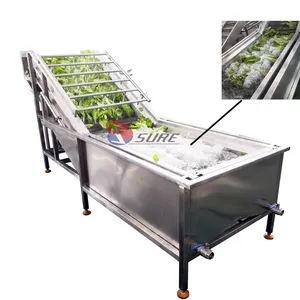 High Productivity Vegetable Bubble Washer/ Industrial Fruit Tomato Bubble Washing Machine