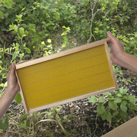 Nouveaux cadres de couvain profonds en bois d'apiculture Langstroth cadres de ruche non assemblés feuilles de fondation en plastique noir/jaune fermes d'abeilles
