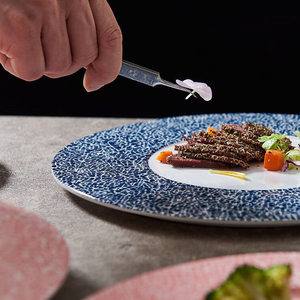 Vaisselle carrée en mélamine nordique pour la restauration, hôtels, restaurants et événements – <span class=keywords><strong>Assiettes</strong></span> résistantes aux chocs - Product Image 2