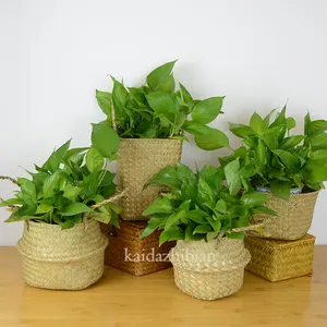 Hot selling Seagrass Planter Basket Indoor Outdoor Flower Pots stand water hyacinth Plant Baskets