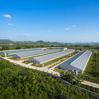 Gallinero Modular Ecológico de Estructura de Acero, Edificio Prefabricado Inteligente para Granja Avícola, Nave Sostenible para Pollos de Engorde y Ponedoras