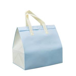 Bolsas Térmicas Aislantes Ecológicas de Tela No Tejida a Precio de Fábrica al por Mayor - Múltiples Tamaños y Colores Disponibles en Inventario - Product Image 4