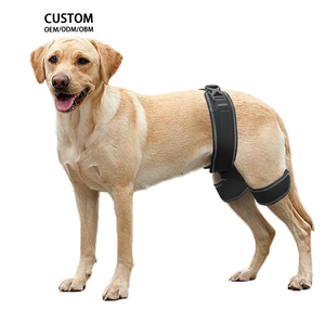 Ортопедический бандаж для собак при дисплазии тазобедренного сустава – современный полиэстер для облегчения боли, профилактики и защиты тазобедренного сустава - Product Image 2