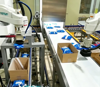Robot SCARA d'emballage de cartons à 4 axes avec vision 2D et suivi par convoyeur pour sachets et bouteilles en plastique