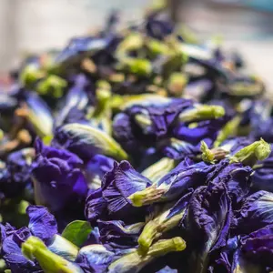 Tè biologico di fabbrica tè all'ingrosso di fiori secchi tè di farfalla blu fiore di pisello essiccato