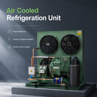 Unidad Condensadora Semihermética de 3HP Refrigerada por Aire para Refrigeración de Cámaras Frigoríficas Comerciales Pequeñas