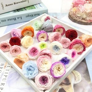 Yunnan Vente en gros Fleur naturelle préservée Blanc Rose 4-5cm Eternal Austin Rose - Product Image 6