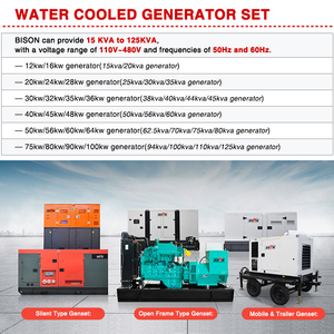 Générateur diesel à moteur ouvert BISON (CHINE) à longue durée de vie, 60 Hz, démarrage automatique, triphasé, 20 kW, 25 kVA - Product Image 5