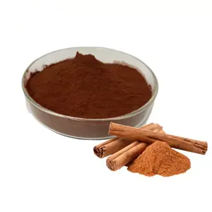 High Quality 20:1 Cinnamon Bark Extract Powder Cinnamon Powder