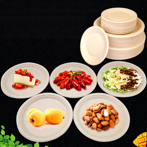 <span class=keywords><strong>Assiette</strong></span> jetable en pulpe de papier biodégradable, carrée, épaisse, imperméable et résistante à l'huile, pour pique-nique, barbecue, fêtes et restaurants - Product Image 4