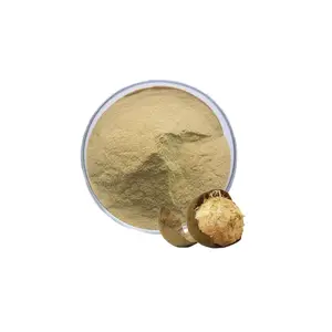 Ingredient Monk Fruit Extract 10:1 20:1 Luo Han Guo Extract Powder