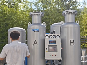 NEWTEK High Quality 15Nm3/h psa <strong>Oxygen</strong> <strong>Generator</strong> 93% <strong>Customized</strong> Industrial O2 <strong>Oxygen</strong> Plant for Production of <strong>Oxygen</strong> - Product Image 3