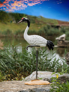 รูปปั้นสัตว์นามธรรมขนาดเท่าตัวจริงที่ปรับแต่งได้, งานแกะสลัก<span class=keywords><strong>นก</strong></span>จากไฟเบอร์กลาส, ของตกแต่งพื้นที่ชมวิว, <span class=keywords><strong>นก</strong></span>กระเรียน<span class=keywords><strong>มงกุฎ</strong></span>แดงที่มีอายุยืนยาว - Product Image 2