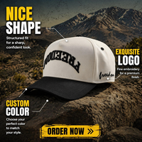 Casquettes de Baseball Snapback A-Frame 2 Tons à Visière Courbe pour Homme avec Logo Brodé 3D Personnalisé