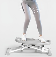 Appareil de fitness multifonctionnel 2-en-1 de haute qualité pour la maison : Stepper et machine à torsion pour amincir les jambes et la taille, en matériau PP