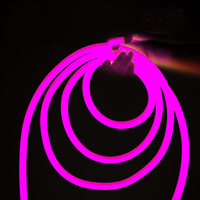 Lampe d'ambiance LED étanche pour extérieur, idéale pour l'éclairage paysager intérieur et de jardin - Bande lumineuse néon multicolore 24V